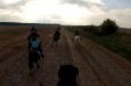 /album/foto1/dsc-0606-2-02-jpg/